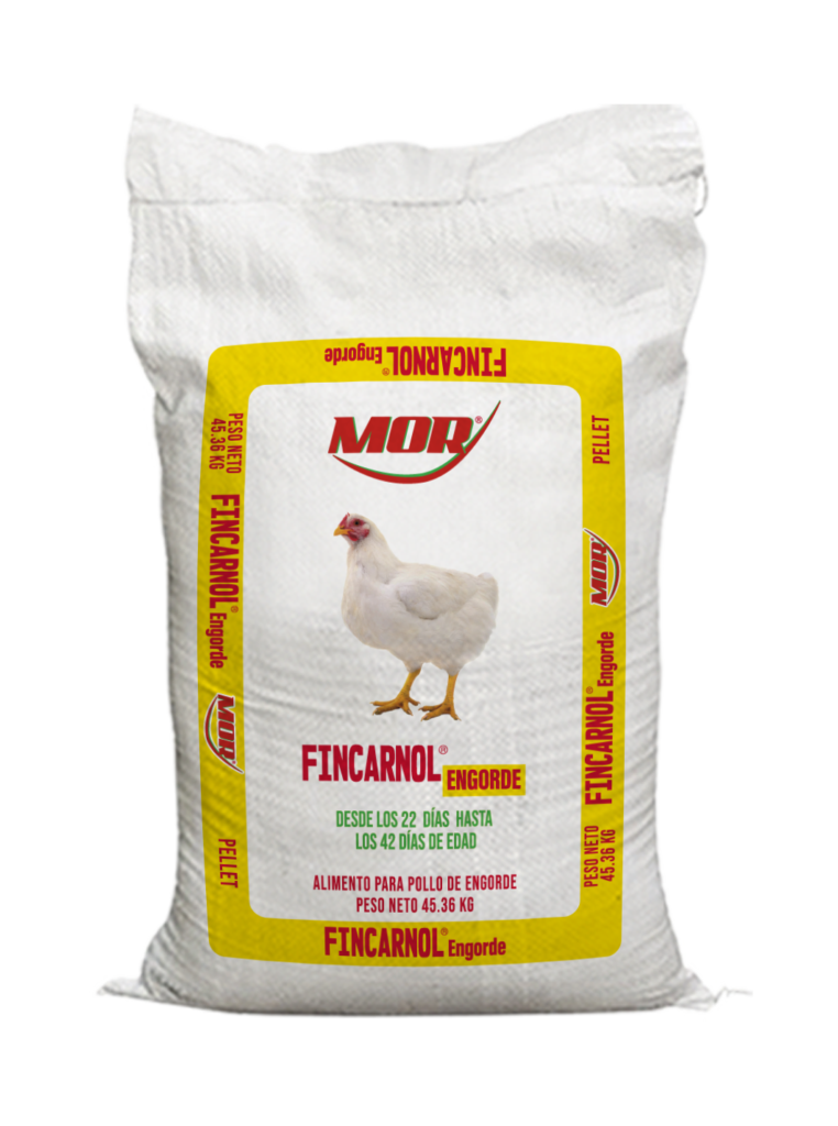 FINCARNOL QQ