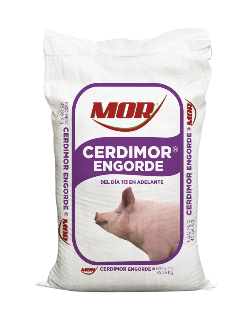 CERDIMOR ENGORDE
