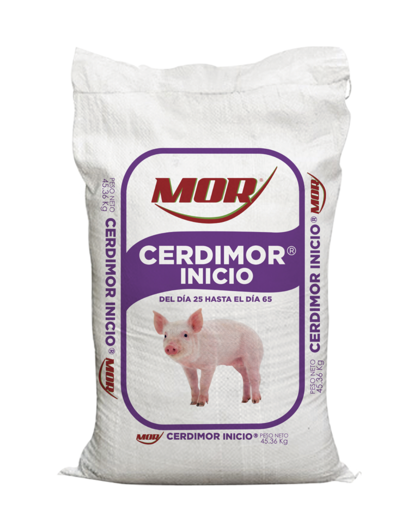CERDIMOR INICIO