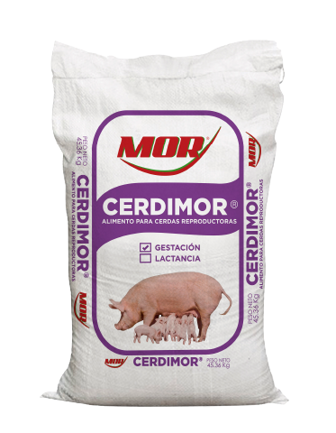 GESTANTE CERDO