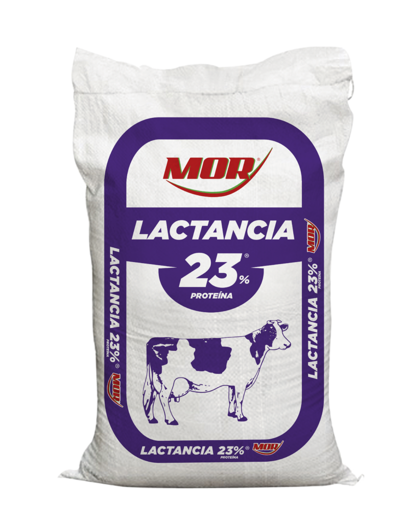 LACTANCIA 23% HARINA