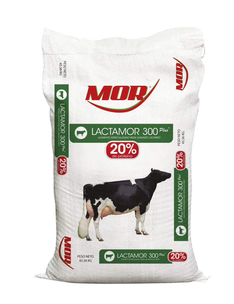 LACTAMOR 300