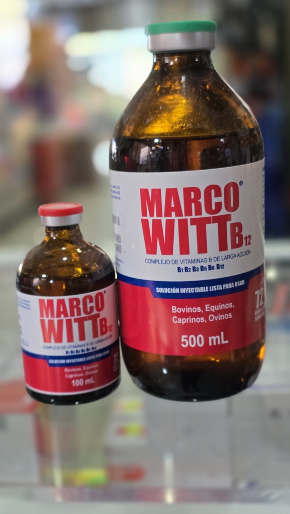 MARCO WITT 500 ML EN COMBO