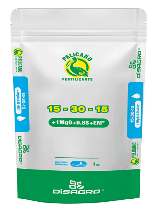 15-30-15 KILOGRAMO