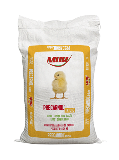 [PT-AVE-ENG011] PRECARNOL QQ